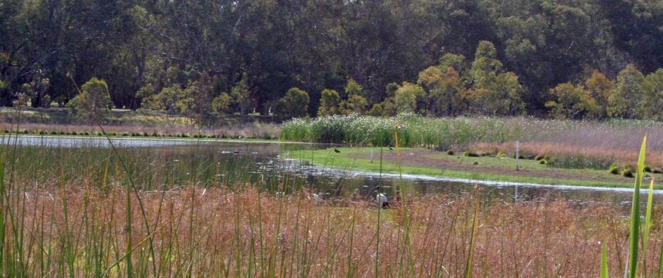 Perry Lakes