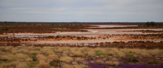 Lake Raeside